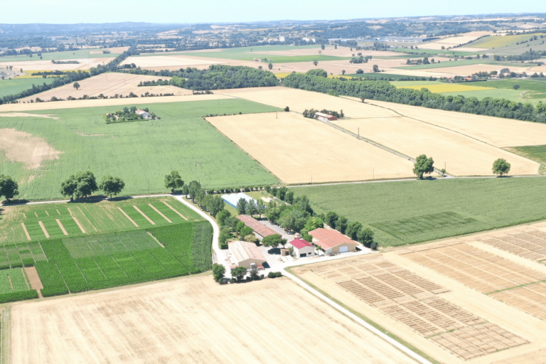 Ferme En Crambade.1 min 768x512