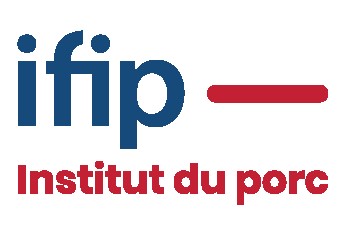Logo IFIP 1