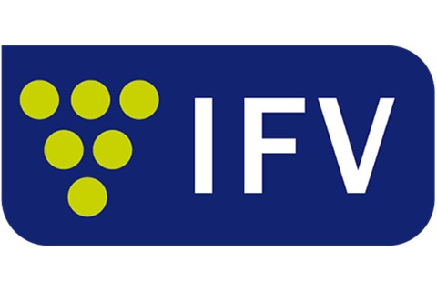 Logo IFV 2