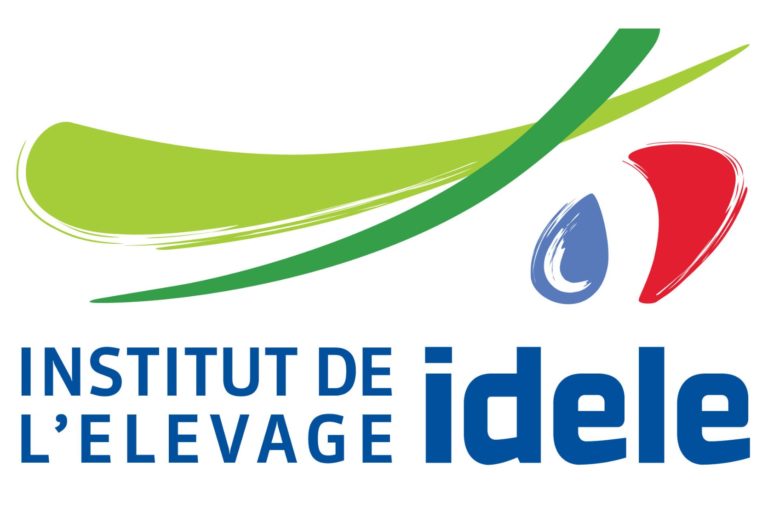 Logo Idele 2 768x512