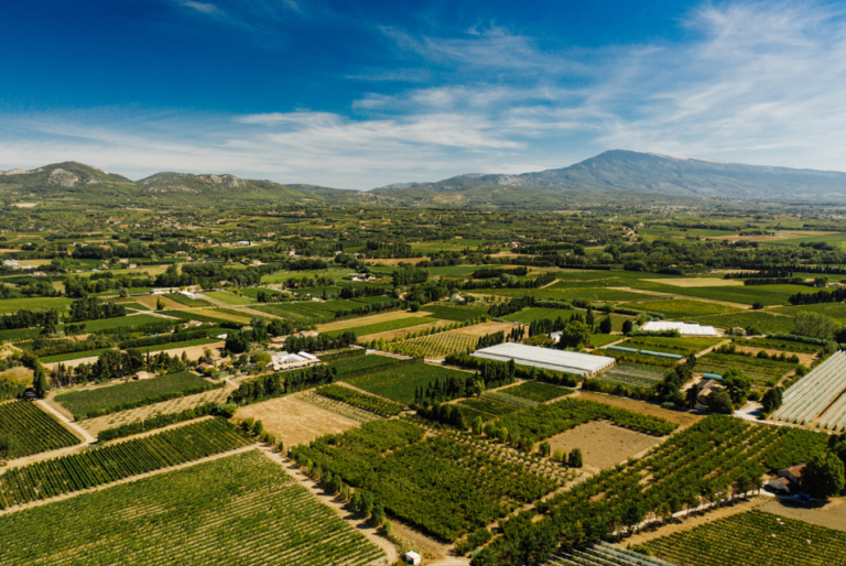 la tapy 768x514